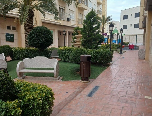 Spacious 3-Bedroom Apartment for Rent with Shared Garden | Quiet Residential Area