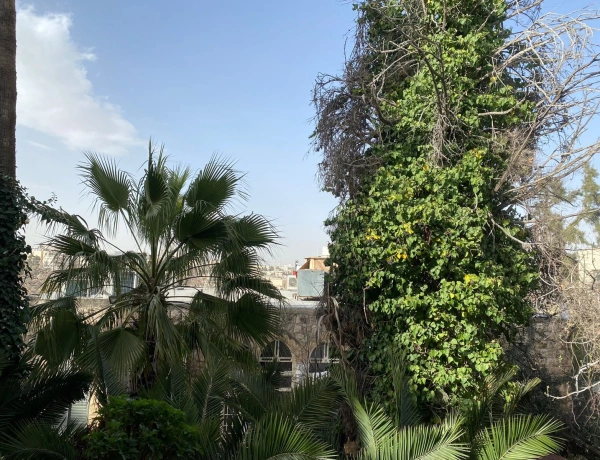Furnished 3-Bedroom Apartment with Balconies for Rent in Rainbow Street, Jabal Amman