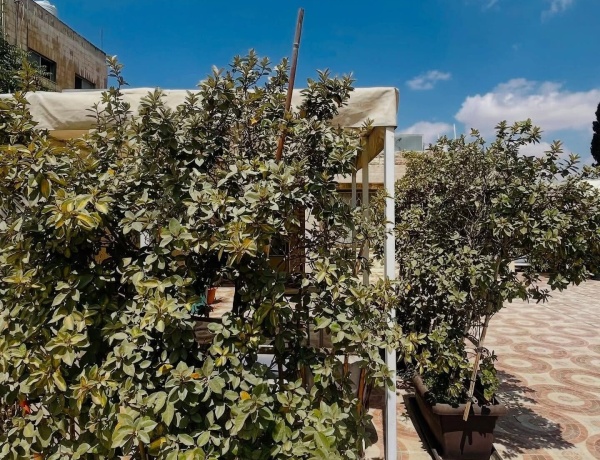 Rooftop 1 Bedroom Apartment for Rent in Jabal Al Weibdeh | 100 sqm Indoor + 100 sqm Terrace