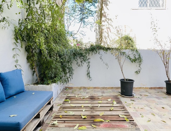 Cozy Apartment for Rent in Jabal Al-Weibdeh